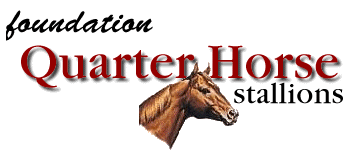 Foundation Quarter Horse Stallions