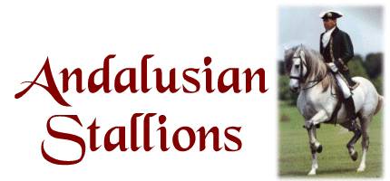 ANDALUSIAN STALLIONS