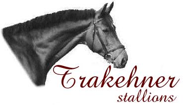 TRAKEHNER STALLIONS